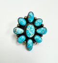 Cluster ring